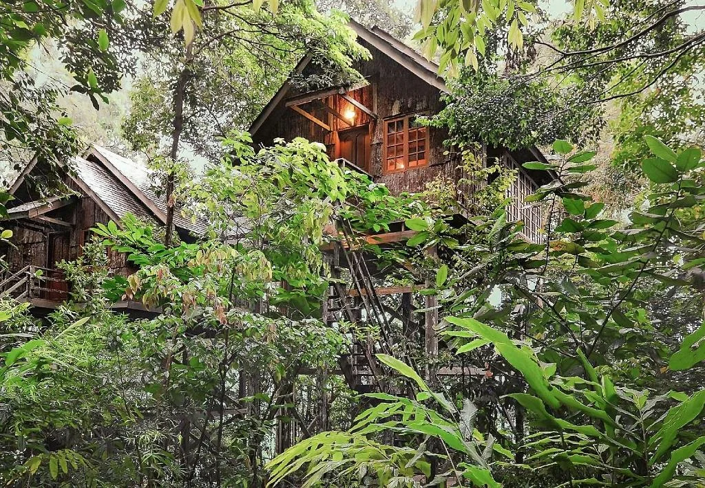 Baumhaus des Permai Rainforest Resort im grünen Regenwald