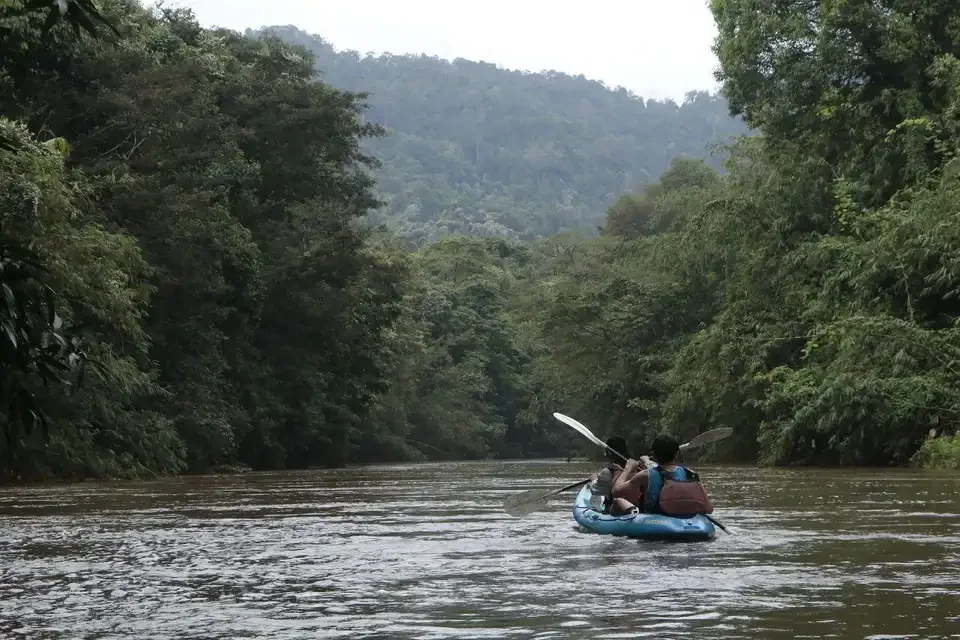 Kajak auf einem von Regenwald umgebenen Fluss bei Kuching